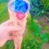 گل برای روز دانش آموز|گل مصنوعی|جاسک, |دیوار