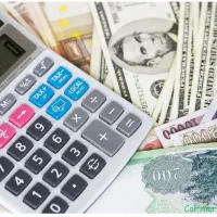 حسابدار با تجربه در صنعت پخش