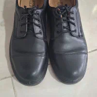 کفش چرم نو|کیف، کفش، کمربند|آمل, |دیوار