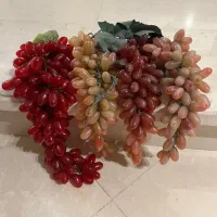 انگور خارجی