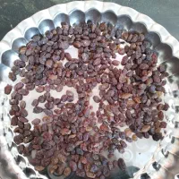 فروش کشمش بیدانه تمیز ارگوانیک و شیره انگور بیدانه