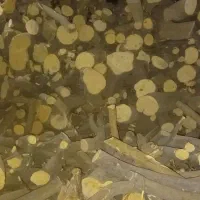 خرید چوب مرکبات بصورت عمده و جزئی