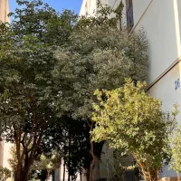 آپارتمان کیسون ۷۵متر فول امکانات|فروش آپارتمان|پرند, فاز ۶|دیوار