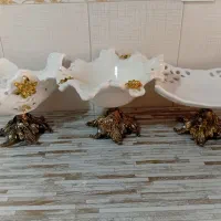 ظرف پذیرایی