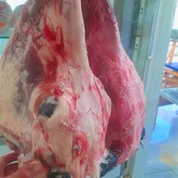 گوشت بره نرینه درجه یک کیلویی 630|عمدهفروشی|بجنورد, |دیوار