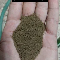 غذا و دارو و ویتامین عمده برای ماهیان|ماهی|کرمانشاه, |دیوار