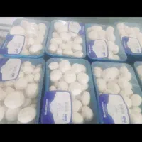 قارچ بسته بندی ۱۰۰۰ گرمی.۴۰۰ گرمی و۲۰۰ گرمی.