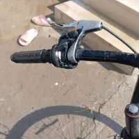 دوچرخه 24|دوچرخه، اسکیت، اسکوتر|بیستون, |دیوار