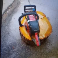 خرید چوب درخت هرس کردن درختان اراک حومه