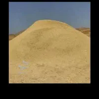 سلام فروش کاه کمباین 100تن یک جا کیلوی 9500