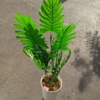درختچه مصنوعی ، گل مصنوعی