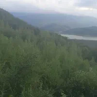 زمین-مسکونی-260-متر-در-شیرگاه