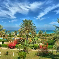 تور تمامی مسیر ها با شرایط ویژه|تور و چارتر|تبریز, |دیوار