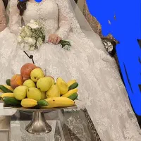 لباس عروس دانتل فرانسه و تور