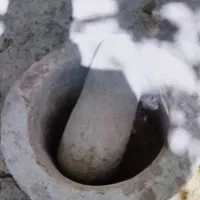 هاونگ سنگی ۲ تومن