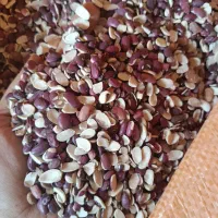 دو تن دولپه لوبیا قرمز لیزر شده|خوردنی و آشامیدنی|شیراز, بهارستان|دیوار