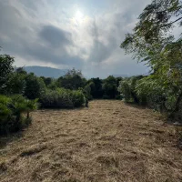 زمین مسکونی ۲۳۲ متری کبوترآبکش دوگلسر سنددار|فروش زمین و ملک کلنگی|چابکسر, |دیوار