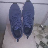 اصلی درحد نوع