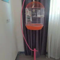 قفس پایه دار سالم سالم