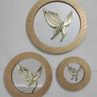 آینه پروانه