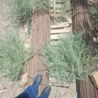 فروش میلگرد ۱۰