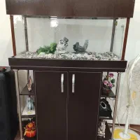 آکواریوم و جاکفشی