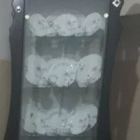 گاز|اجاق گاز و لوازم برقی پختوپز|تایباد, |دیوار