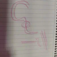 نگهبان پروژه