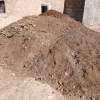 کود حیوانی|خدمات باغبانی و درختکاری|چیتاب, |دیوار