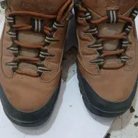 کفش کوهنوردی