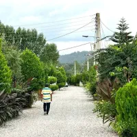 زمین-دارای-سندتکبرگ-فوری-مالک-پول-لازم