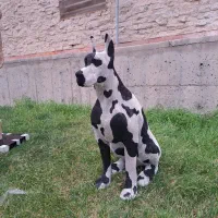 مجسمه سازی آریا دکو