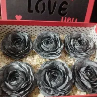 گل‌ رز جاودان، به صورت باکس و تکی در رنگبندی|گل مصنوعی|شهر بابک, |دیوار