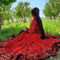 لباس فروشی|لباس|شیراز, شهدای شهرک سعدی|دیوار