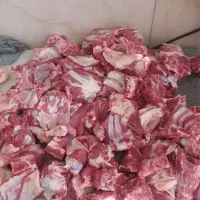 گوشت تازه بره نرینه کشتار روز گلبهار نوبهار