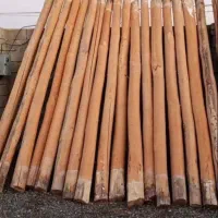 خرید و فروش چوب و خشک تر ضایعاتی
