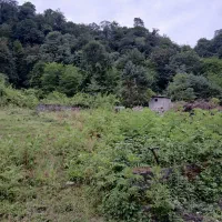 سی-سرا-پلاک1-جنگل-بافت-مسکونی-فروش-یا-معاوظه