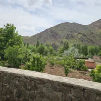 فروش باغ سند شش دانگ با برق و اب