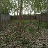 زمین-400-متری-دهنه-سر-خمام