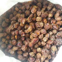 میوه خشک