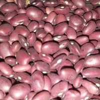 خوردنی آشامیدنی