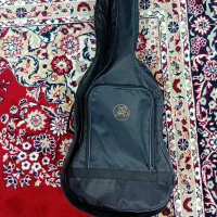 گیتار|گیتار، بیس، امپلیفایر|سوسنگرد, |دیوار