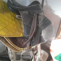 زین|اسب و تجهیزات اسب‌سواری|سبزوار, قصبه غربی|دیوار