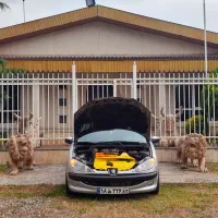 پژو 206 تیپ ۵، مدل ۱۳۸۲