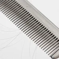 با یه تیر دوتا نشون بزن