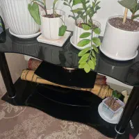 میزتلویزون|میز تلویزیون|بندرعباس, |دیوار