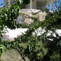 اجاره روزانه باغ ویلا  سپیدان هما شهر