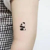 مدل تتو|خدمات آرایشگری و زیبایی|سنندج, |دیوار