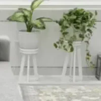 آگلونما برفی