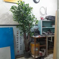 درختچه مصنوعی با تنه طبیعی